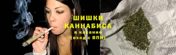бошки Алексин